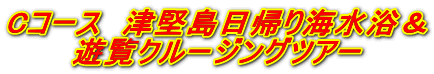 Cコース 津堅島日帰り海水浴& 遊覧クルージングツアー