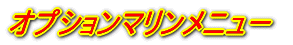 Aコース 津堅島日帰り海水浴ツアー